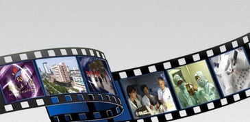 專業(yè)企業(yè)文化宣傳，點亮臨安企業(yè)風(fēng)采——宏人影視免費策劃、攝像及制作服務(wù)